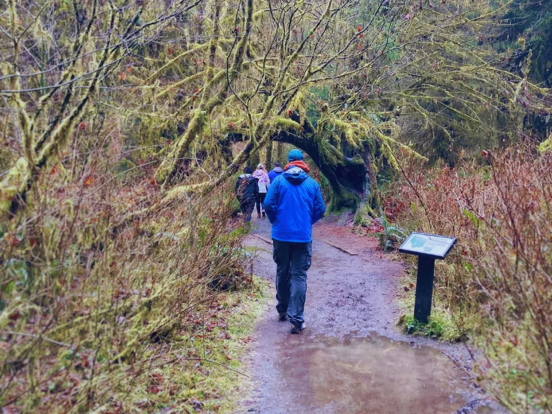 Man on beginner hike 