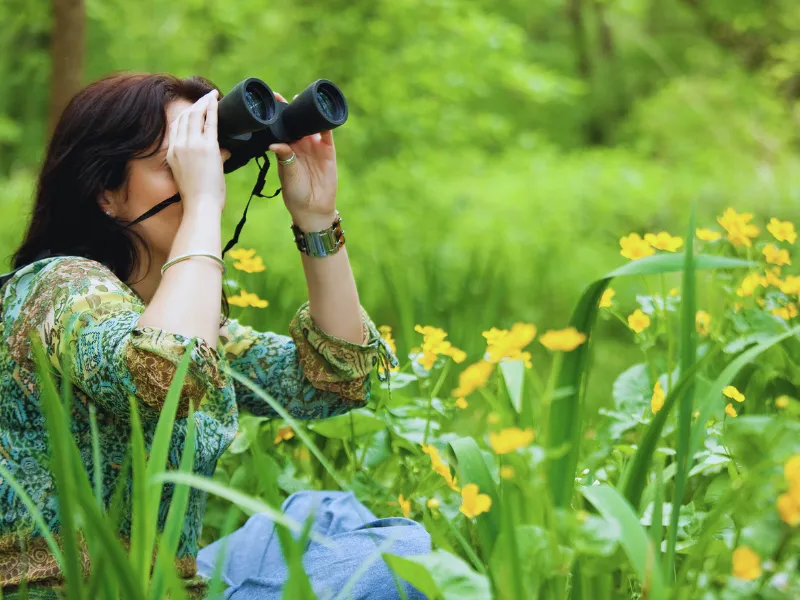Woman birdwatching with binoculars 